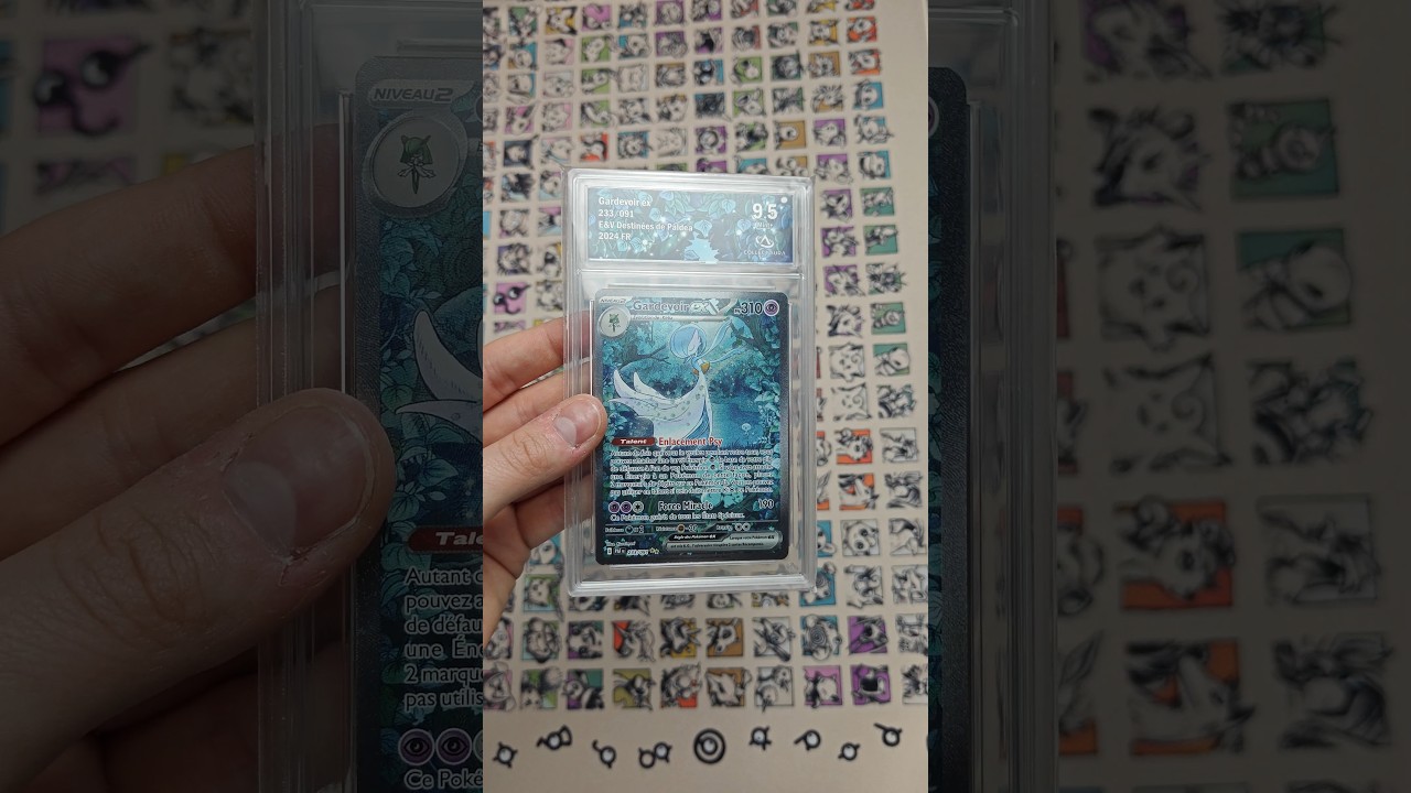 ✨ Réception @collectaura 