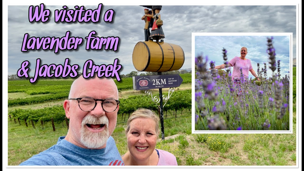 We visited a lavender farm & Jacobs Creek, South Australia