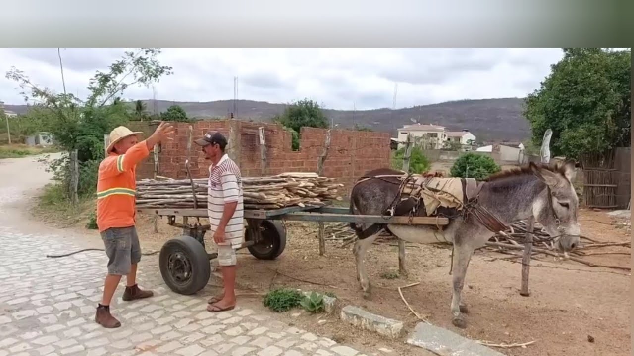 bastidores  !! Seu  António carregou os móveis de seu Mané  !!