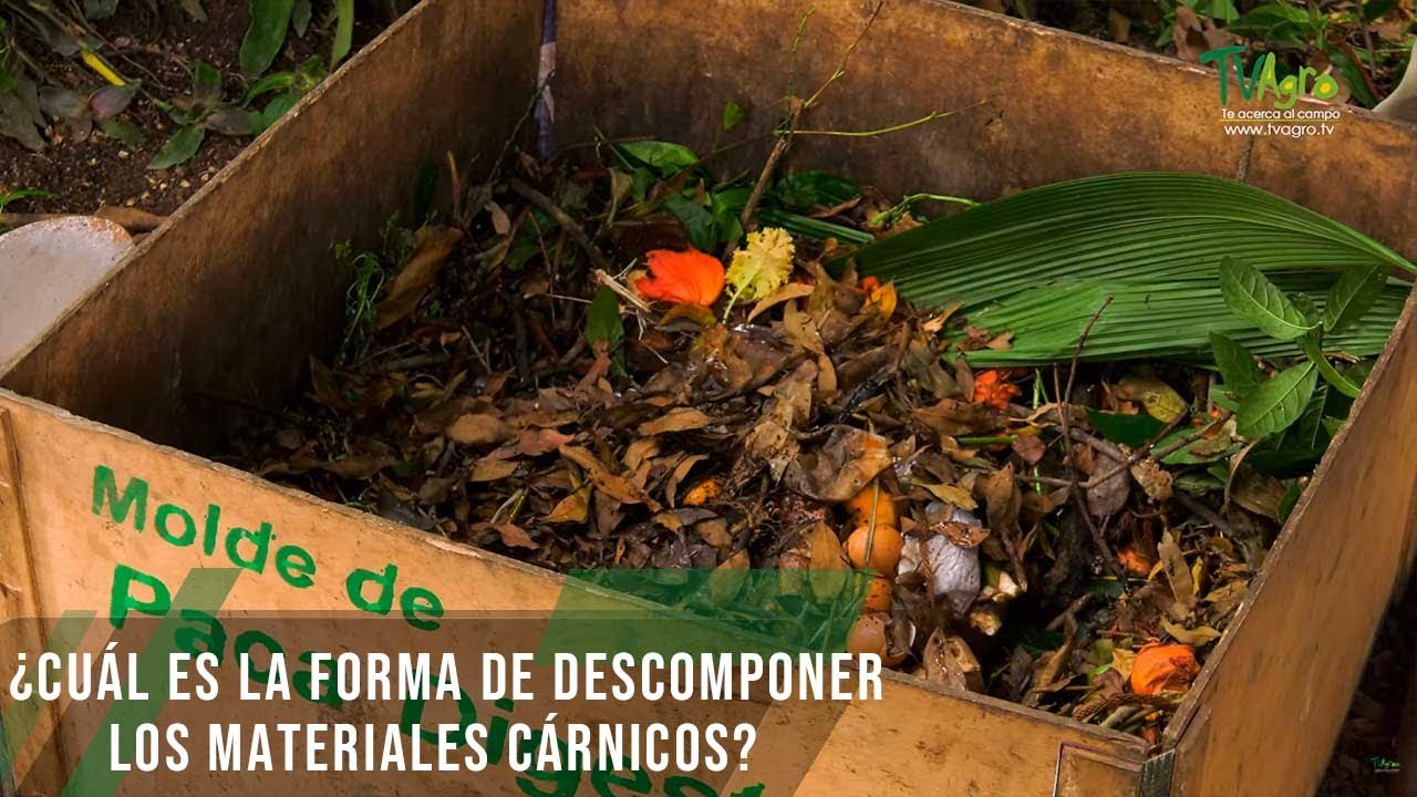 Cu&aacute;l es la forma de descomponer los materiales c&aacute;rnicos - TvAgro por Juan Gonzalo Angel Restrepo