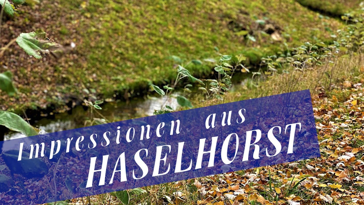 Impressionen aus Haselhorst