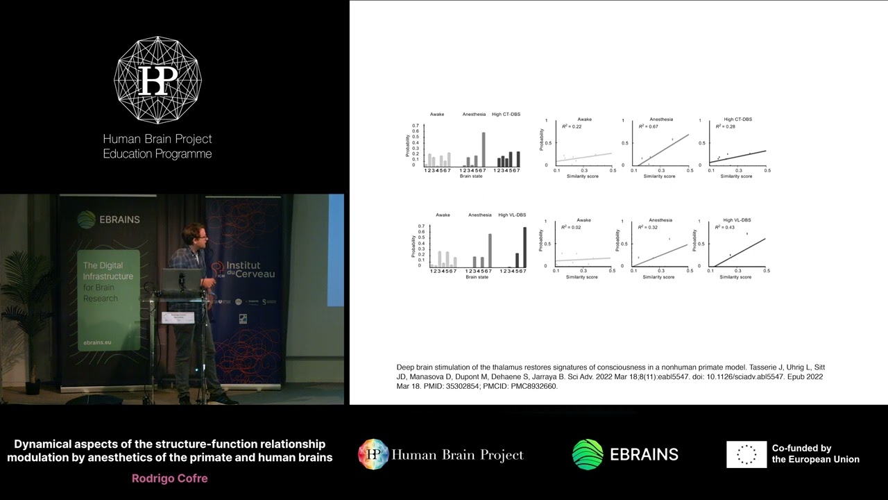 Rodrigo Cofre - Dynamical aspects of the structure-function relationship modulation by (...)