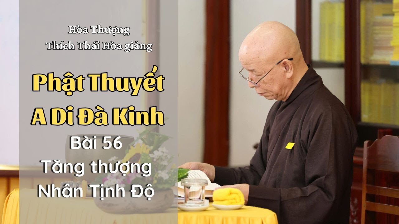 Phật Thuyết A Di Đà Kinh | Bài 56 - Tăng Thượng Nhân Tịnh Độ | HT Thích Thái Hòa giảng