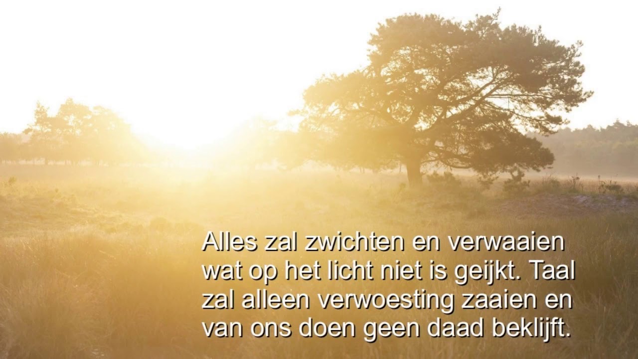 Lied aan het licht - Lied 601