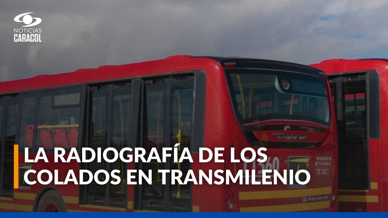 Alarmantes cifras de colados en TransMilenio: 262 mil evasiones al día y 40 fallecidos en cinco años
