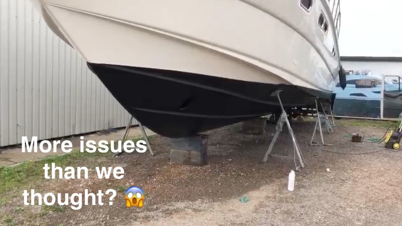 HYC Sealine s48 Makeover 