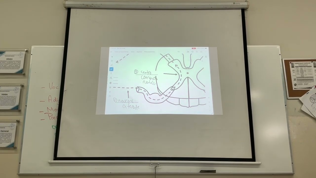 Clase martes 24 de febrero