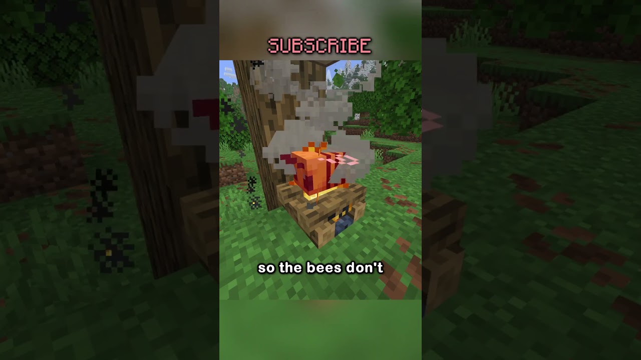 The Long Awaited Camman18 Bee Tutorial