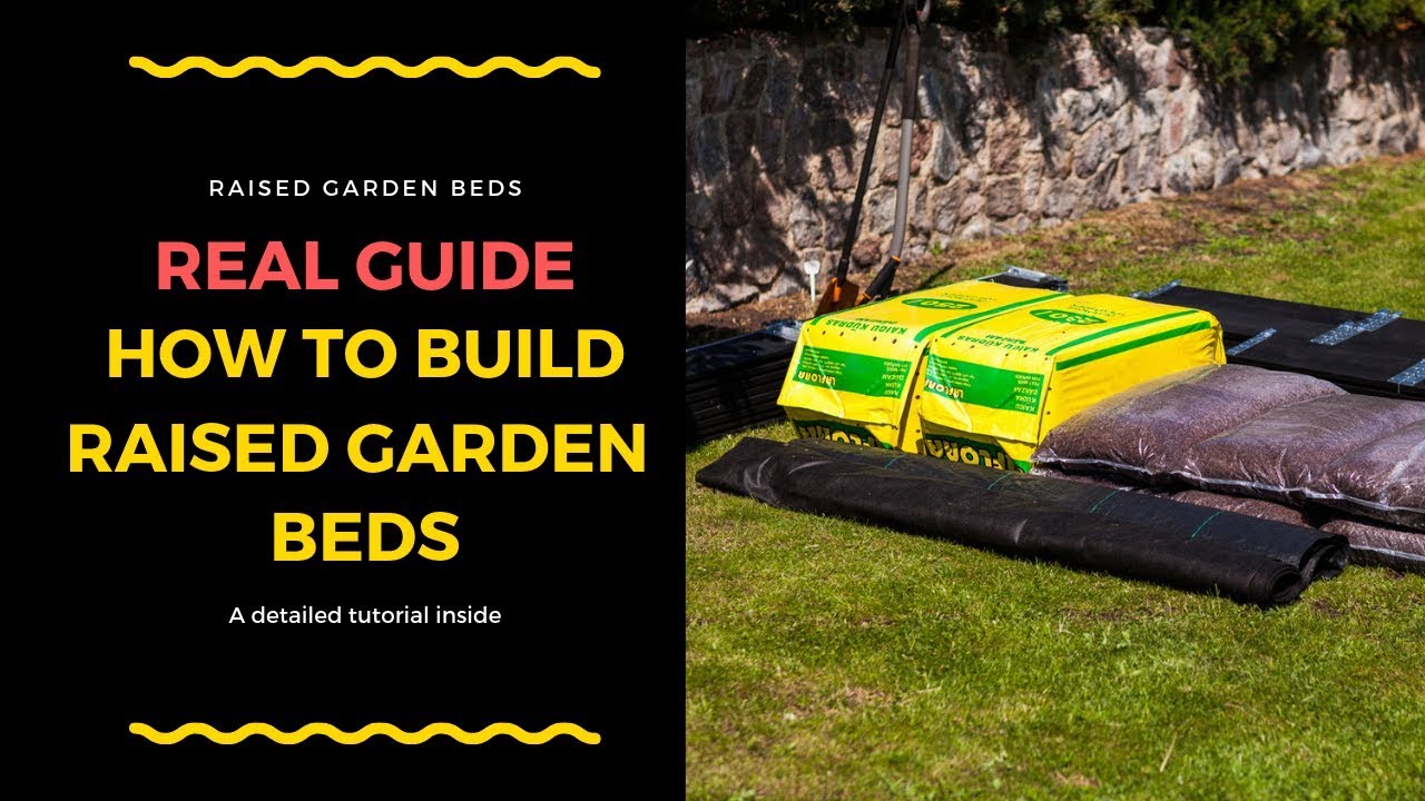 How to Build a Raised Garden Bed [All SECRETS Revealed]