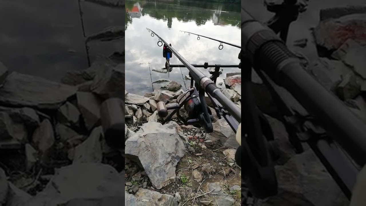 Zaj&iacute;mav&yacute; z&aacute;běr! #fishing #fish #rybařen&iacute; #fyp #carpangler