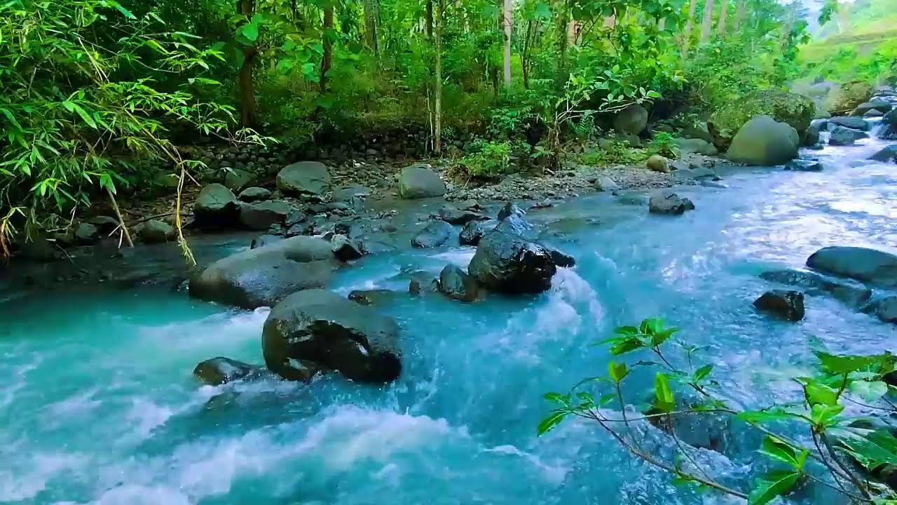 Fall Asleep - Soothing Water Stream Sounds and Gentle River Flow