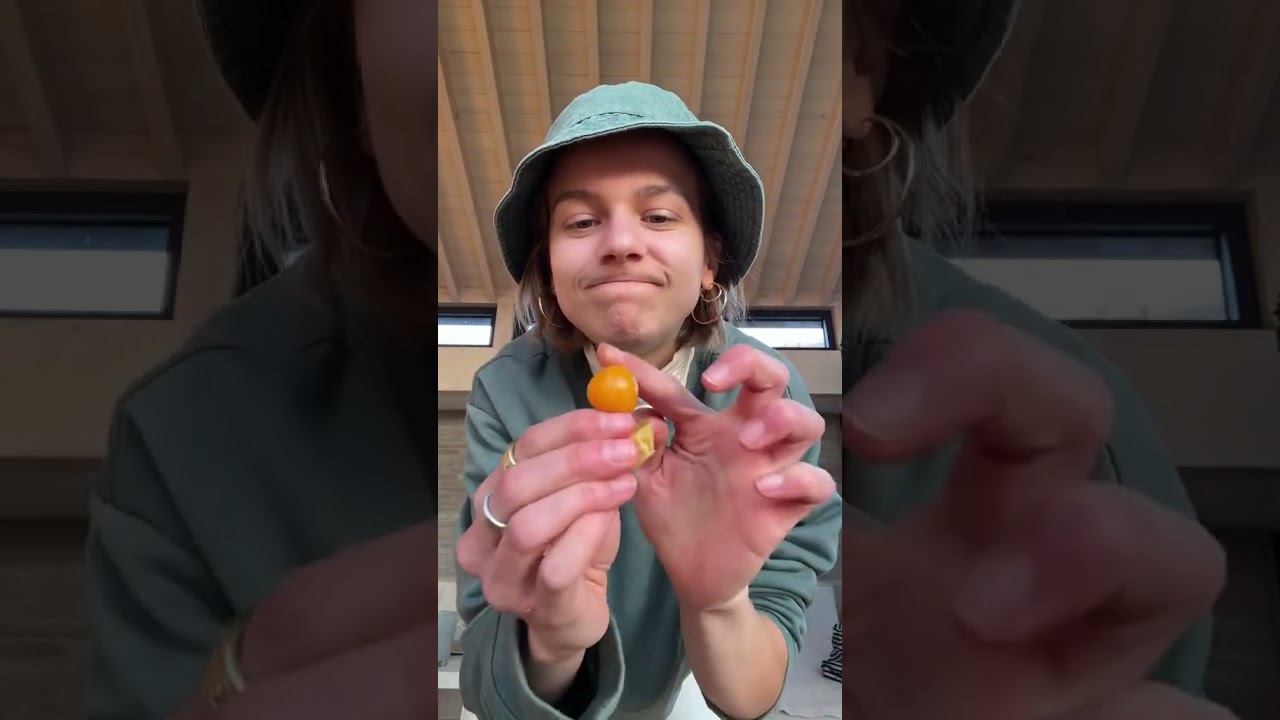 Golden berries