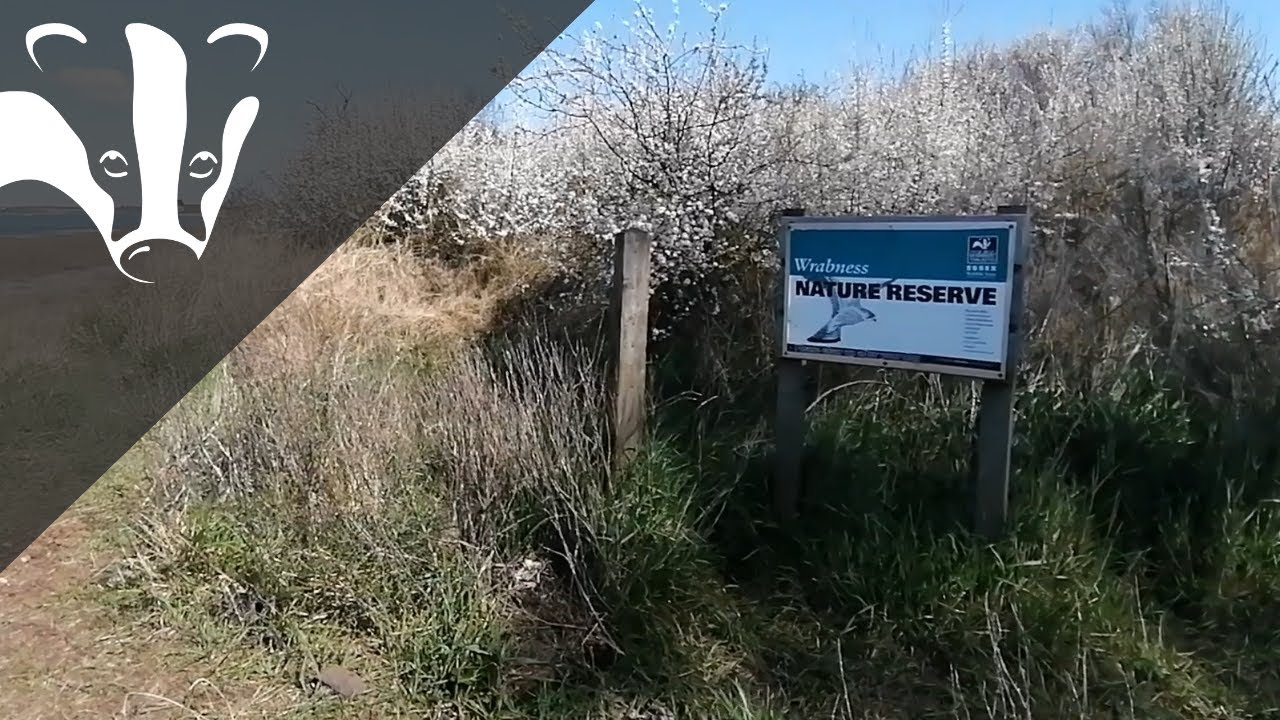 Wrabness nature reserve