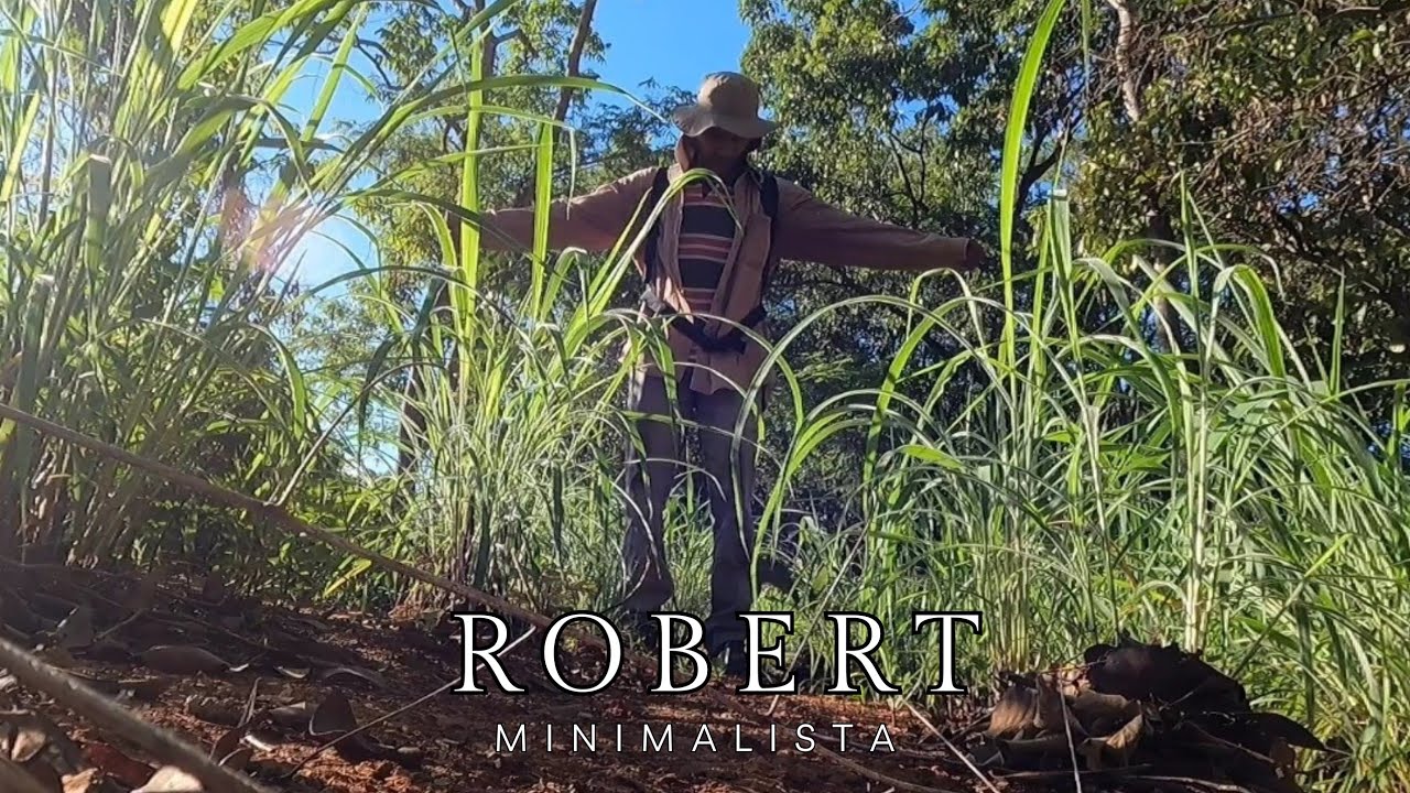 Riscos de viver uma vida como Andarilho 