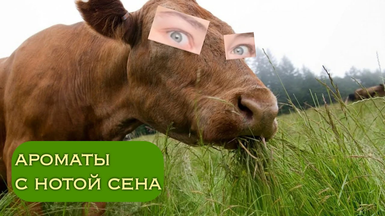 февральский сенокос