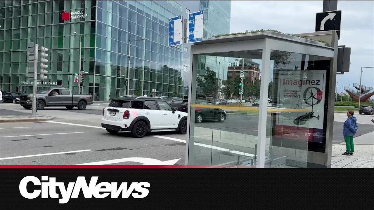 Montreal school tests green roofs on bus shelters to help with heat