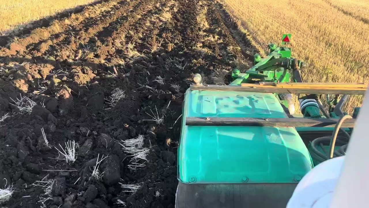 Оранка пшениці на т-150 🚜11га