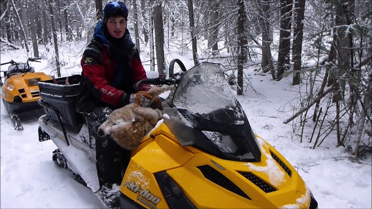 Trapping | Episode 17 - Caught 3 Lynx & 1 Coyote!