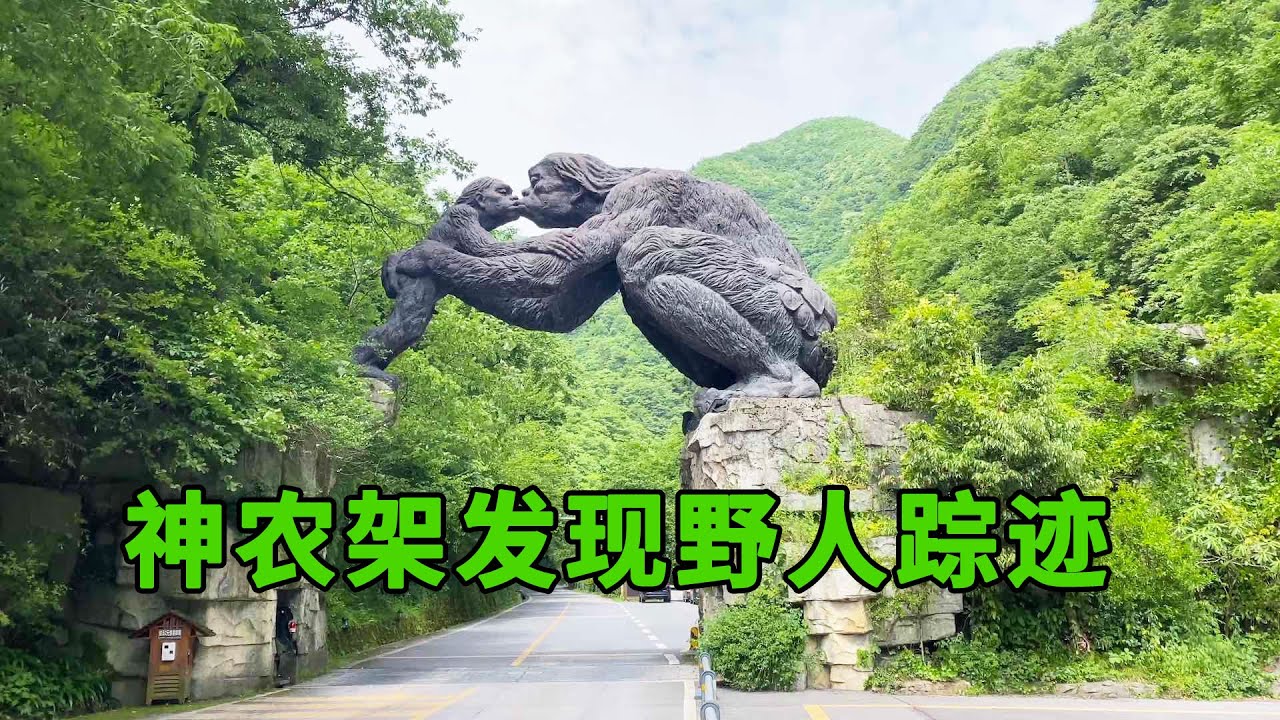 神农架“野人”再现？找到了野人寝宫，看看野人的卧室是什么样子