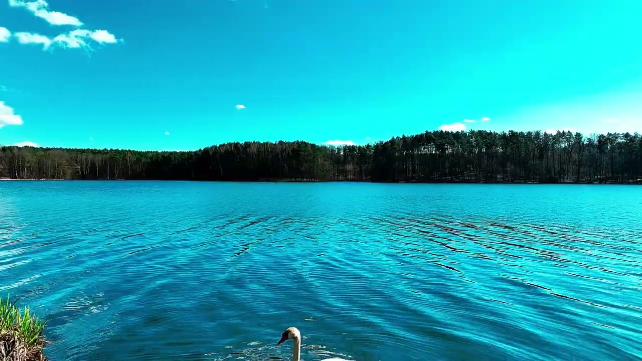 Zalew Rybnicki Cinematic Video 4K