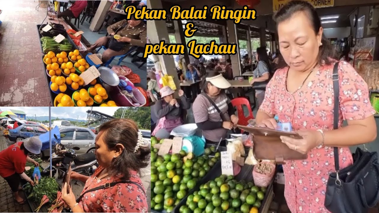 PEKAN BALAI RINGIN DAN PEKAN LACHAU TEMPAT PERSINGGAHAN RAMAI ORG #ukaisenangkasenang