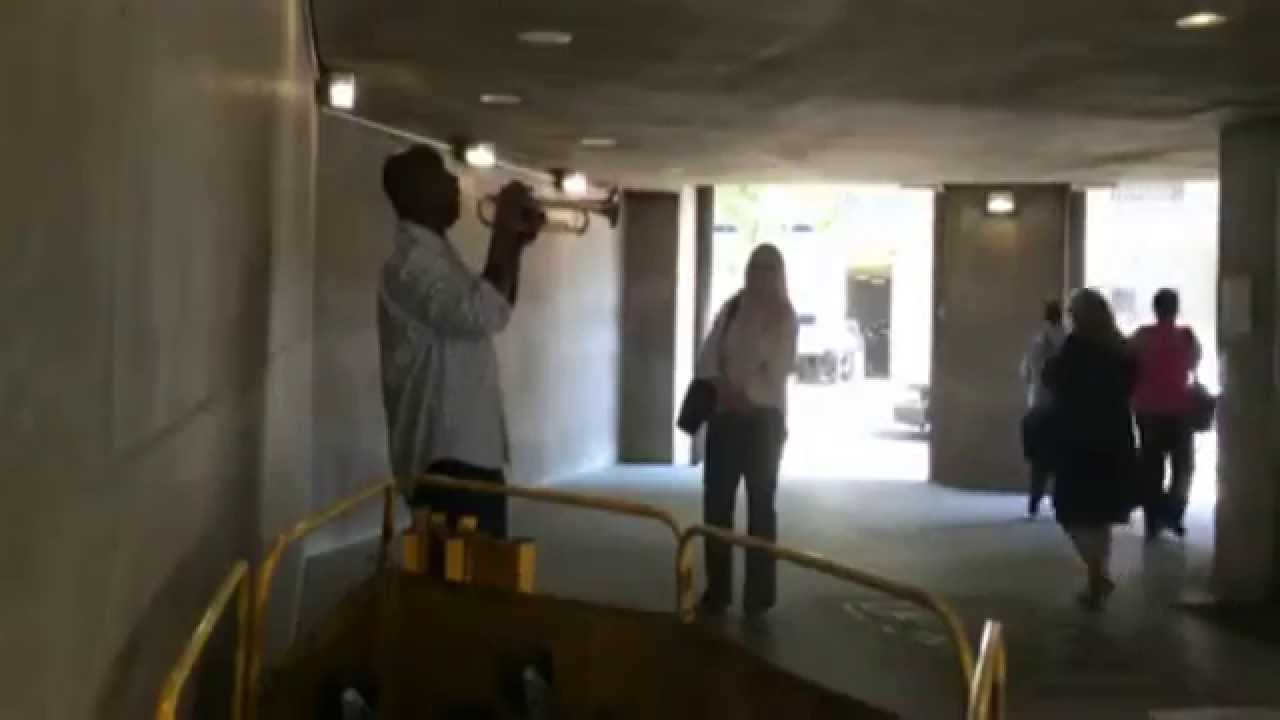 Incredible Trumpet Player Performs Jazz at the Metro