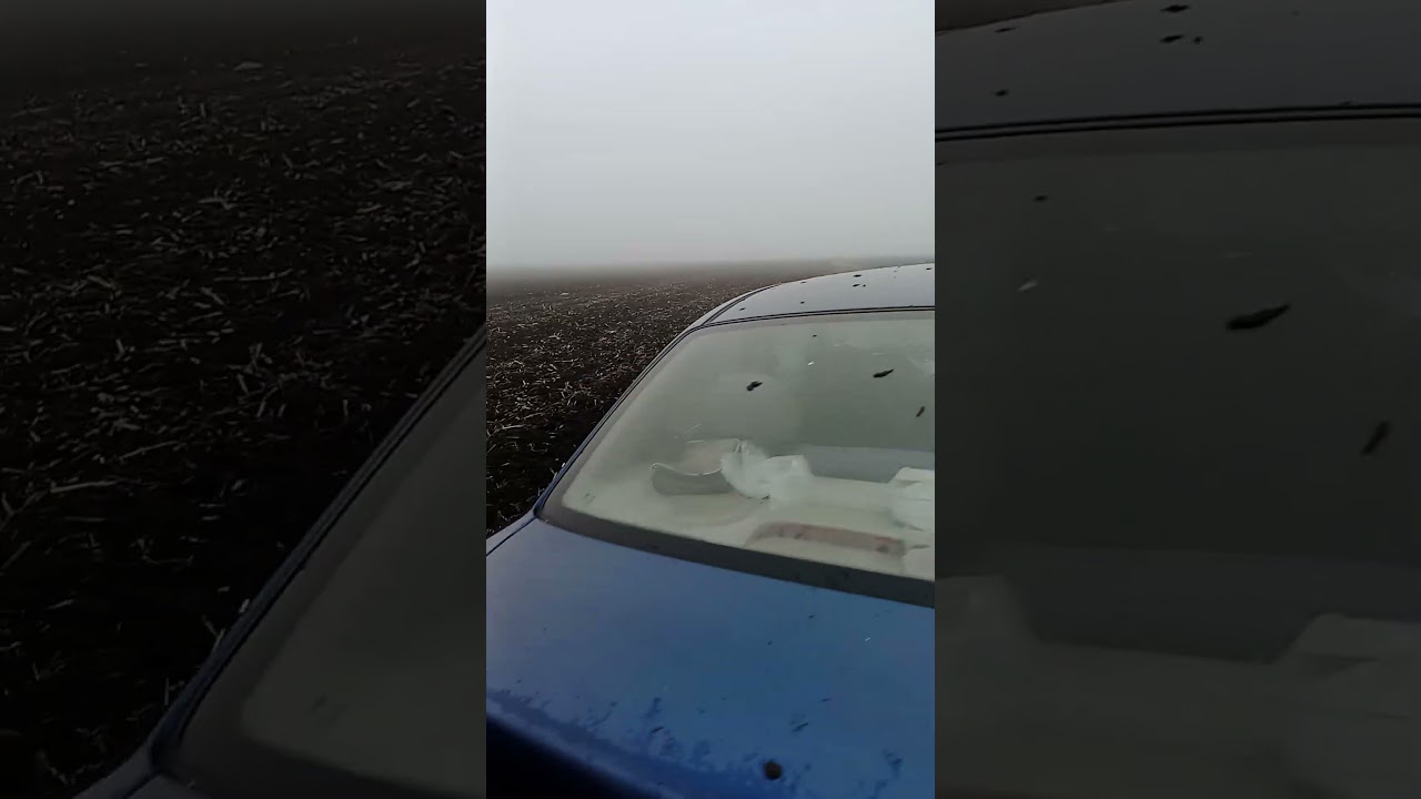 Коли в голові пусто😅 