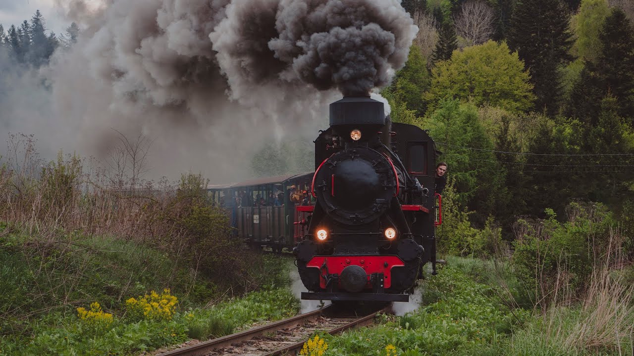 Parow&oacute;z Kp4 3772 w służbie Bieszczadzkiej Kolejki Leśnej - maj 2025