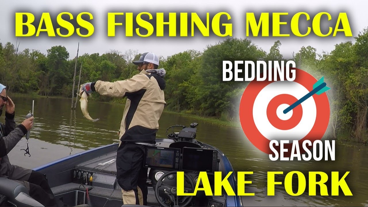 Bedding Season at Lake Fork - Elite Series 2021