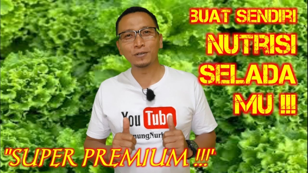 Nutrisi Premium Selada