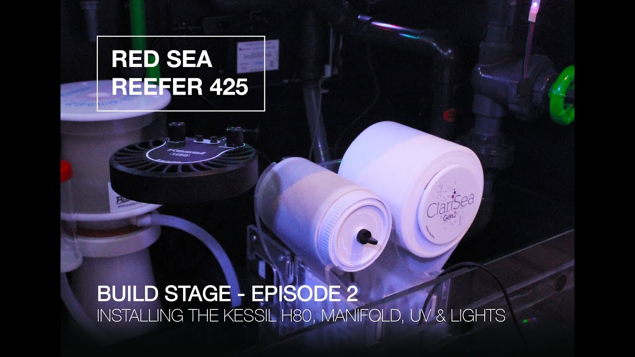 RED SEA REEFER 425 BUILD SERIES - Episode 2