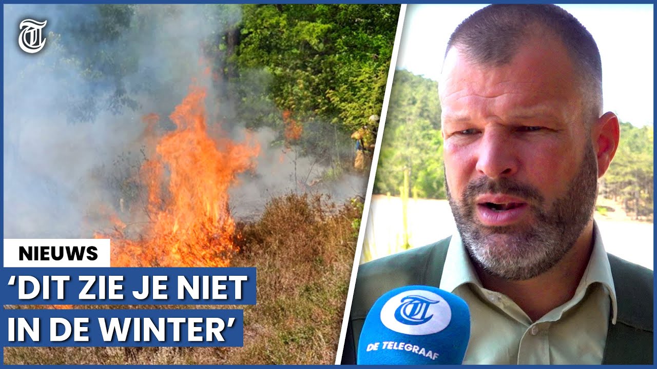 Boswachter waarschuwt: zo kan natuurbrand ontstaan