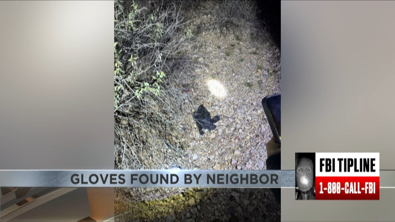 ONLY ON 4: Gloves found by neighbors near Nany Guthrie's home