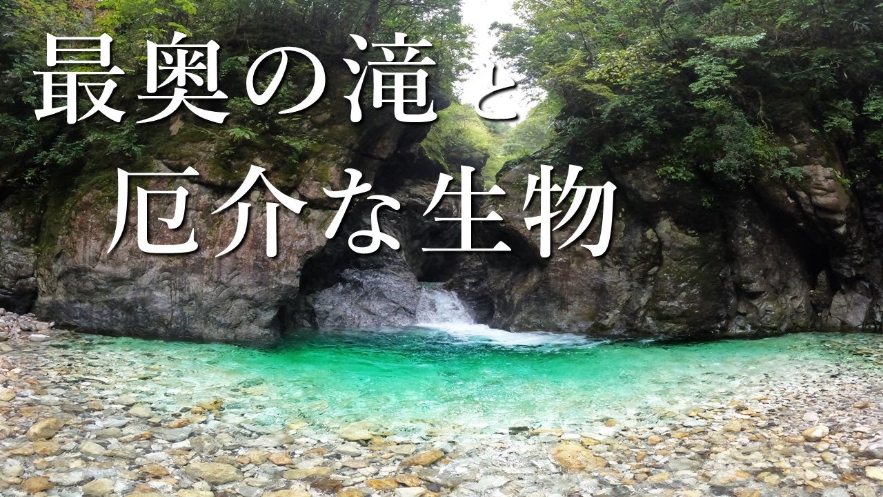【想定外の最終釣行】危険生物！？最奥の滝で待ち構えていた厄介な者とは…【渓流釣り】