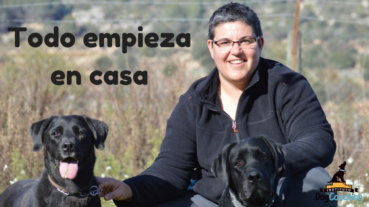 Comportamiento canino. Todo empieza en casa