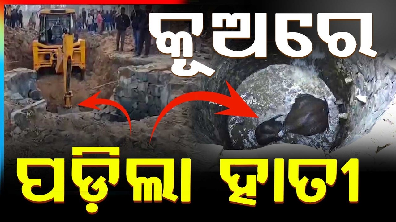 କୂଅରେ ପଡ଼ିଲା ହାତୀ  | Elephant Falls Into Village Well in Keonjhar