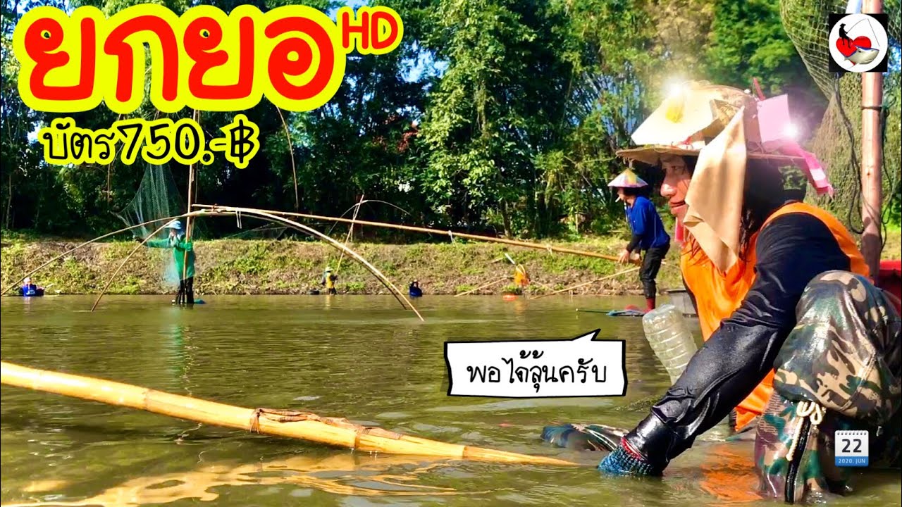 ยกยอ หนองโค้ง ►Fishing lifestyle Ep.412