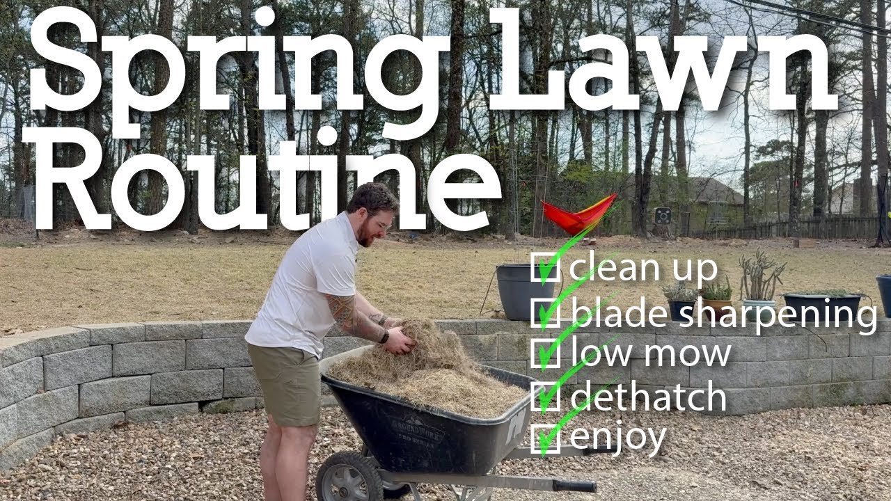Spring Lawn Care Routine
