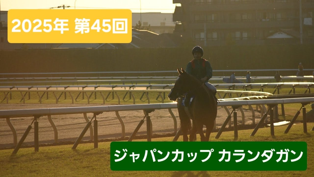 【現地映像】2025年第45回ジャパンカップ（G1）優勝馬カランダガン号
