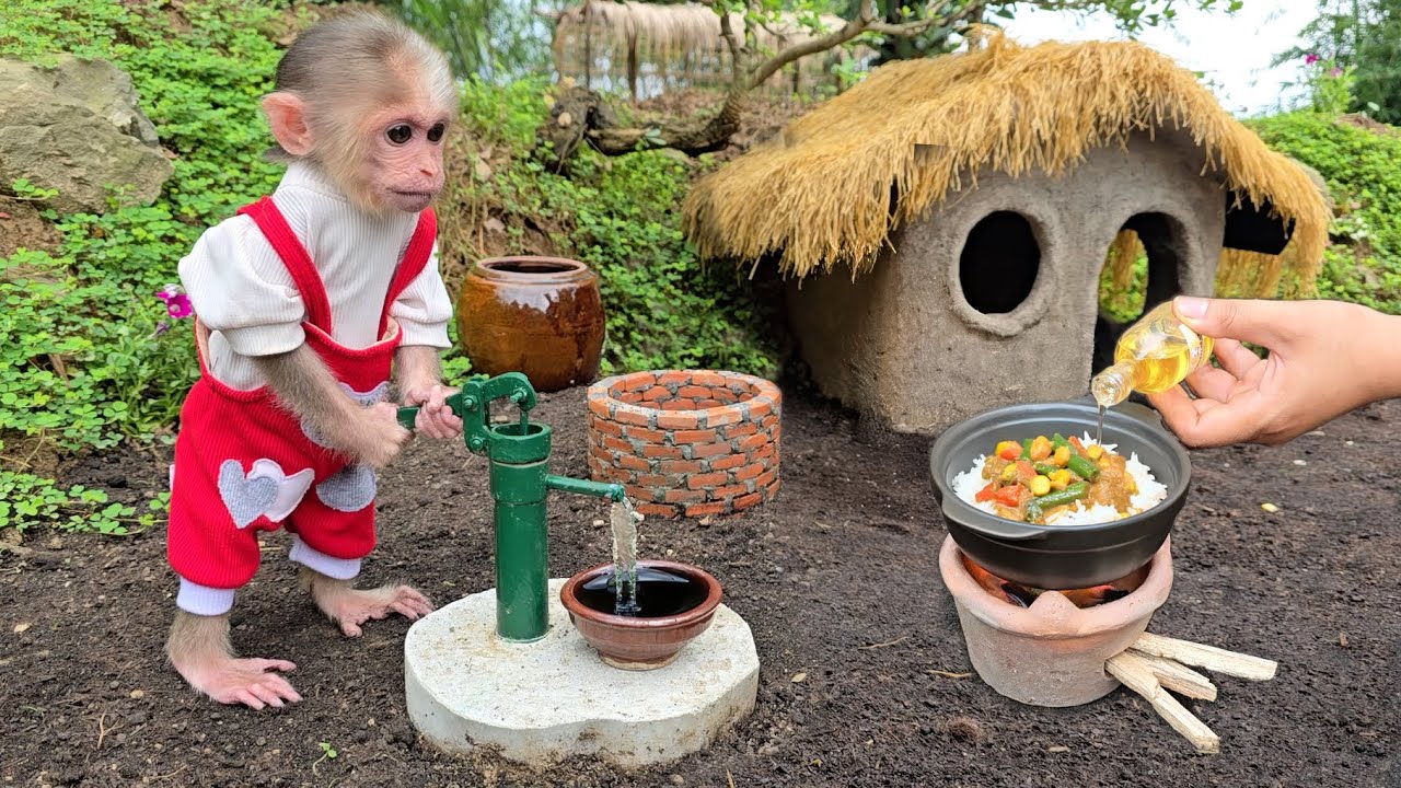 Auntie harvests vegetables to cook breakfast for baby monkey Xuka | FULL EPISODE