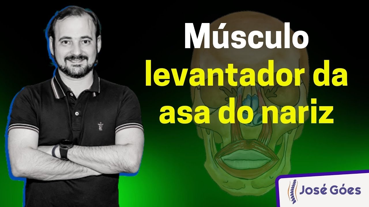 Músculo levantador da asa do nariz | José Góes