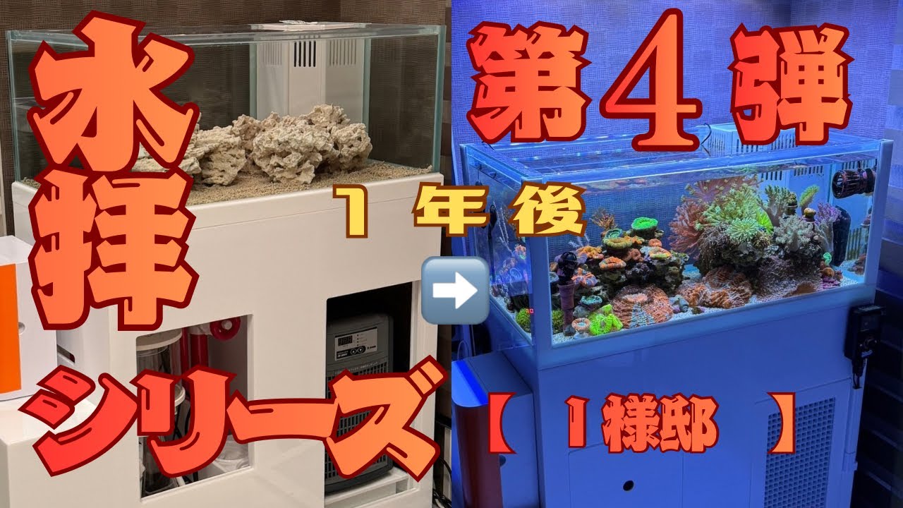 スイハイシリーズ　第4弾