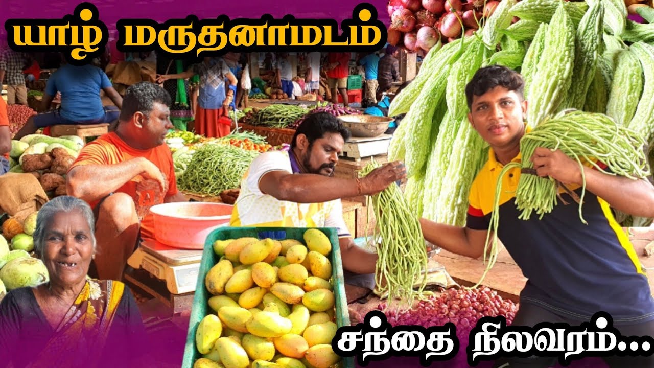 #🇱🇰மருதனாமடம் சந்தை நிலவரம்#One of the biggest market in Jaffna I've ever seen | Tamil | Mr Raj