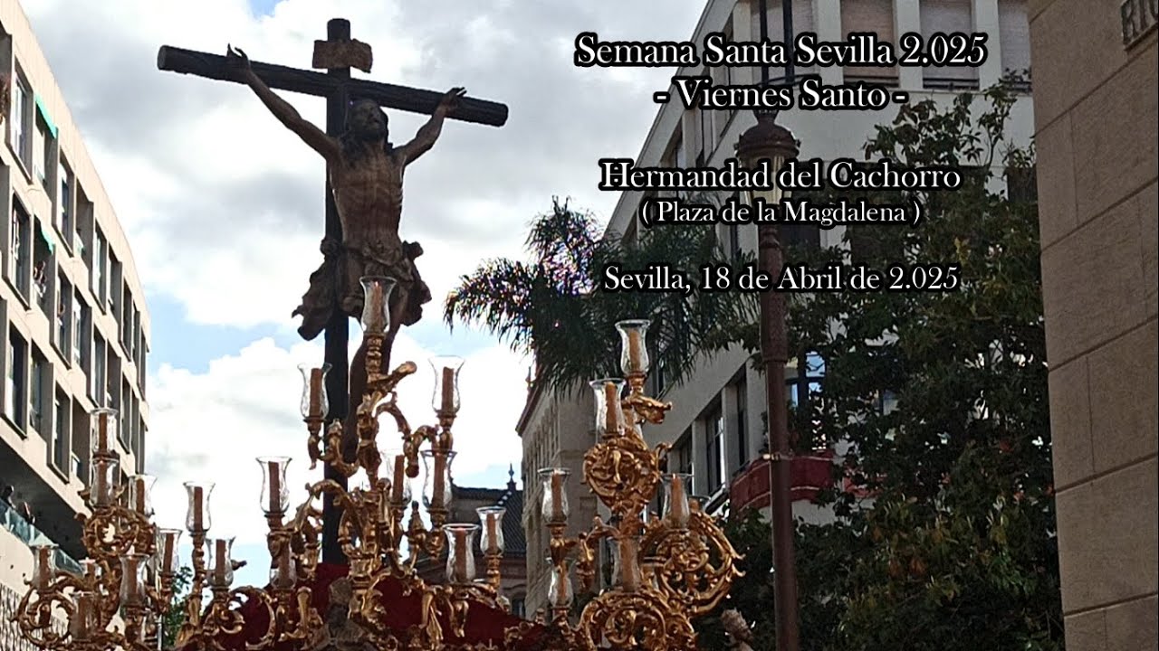 El Cachorro por la Plaza de la Magdalena - Semana Santa Sevilla 2025 (Viernes Santo)