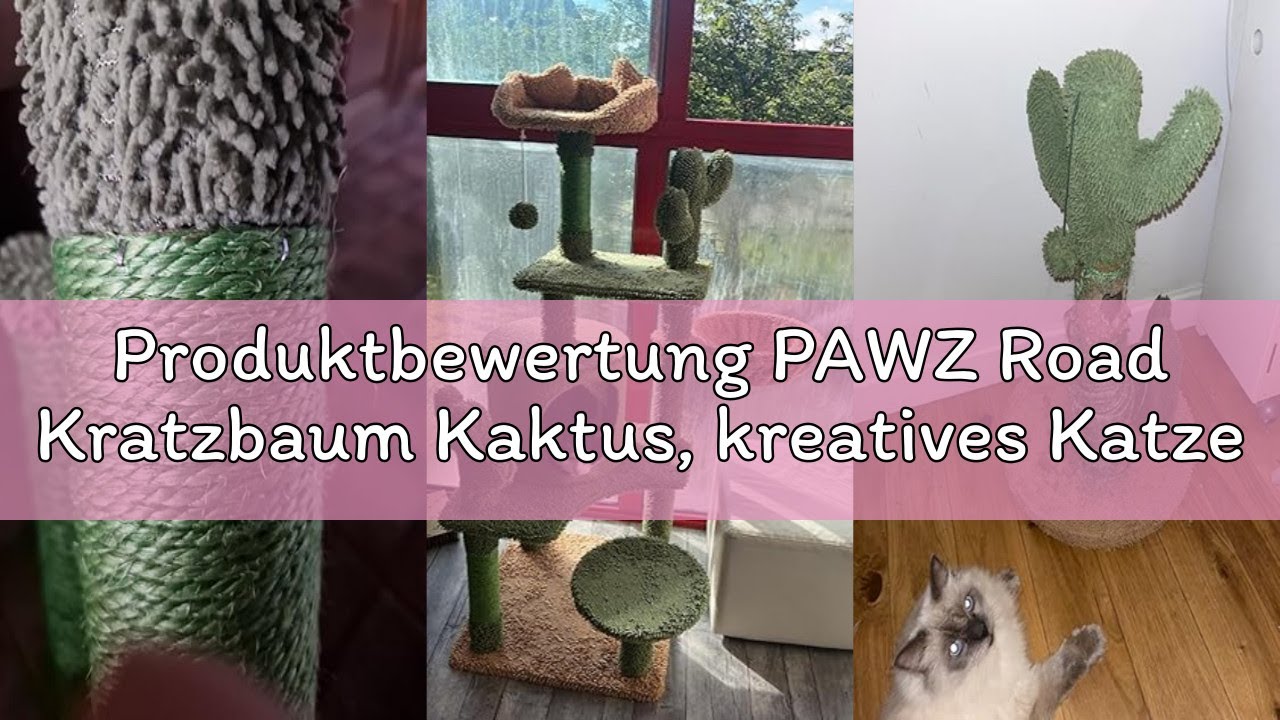 Produktbewertung PAWZ Road Kratzbaum Kaktus, kreatives Katzenbaum-Design, 3 Pfosten in 1 Set, grün,