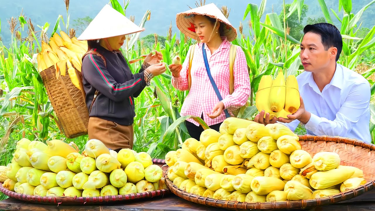 Peace Before "the Storm": Ms. An & Her Maid Harvest Corn... While Husband Checks on the STORE