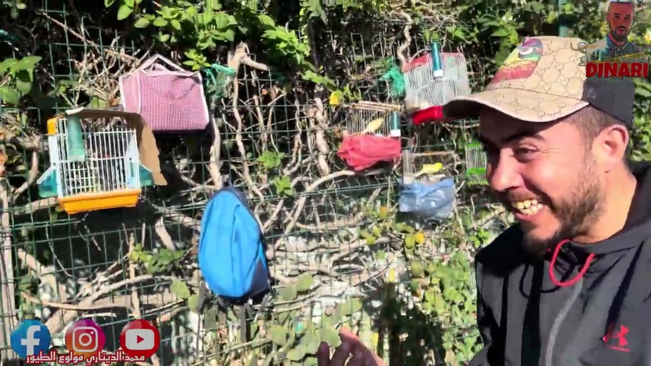 جولة🚶🏻‍♂️بسوق الفلوجة بطنجة/أثمنة الطيور🦜الموجودة الزيبرا الكوكتيل الكناري البادجي…