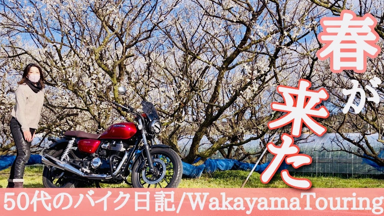 GB350乗り50代女のバイクツーリング珍道中♪日本最大級のみなべ梅林と穴場絶景スポットを紹介するよ！！