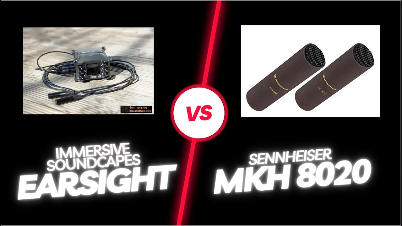 Earsight microphones Standard vs Sennheiser MKH-8020 (95€ vs 2 200€)