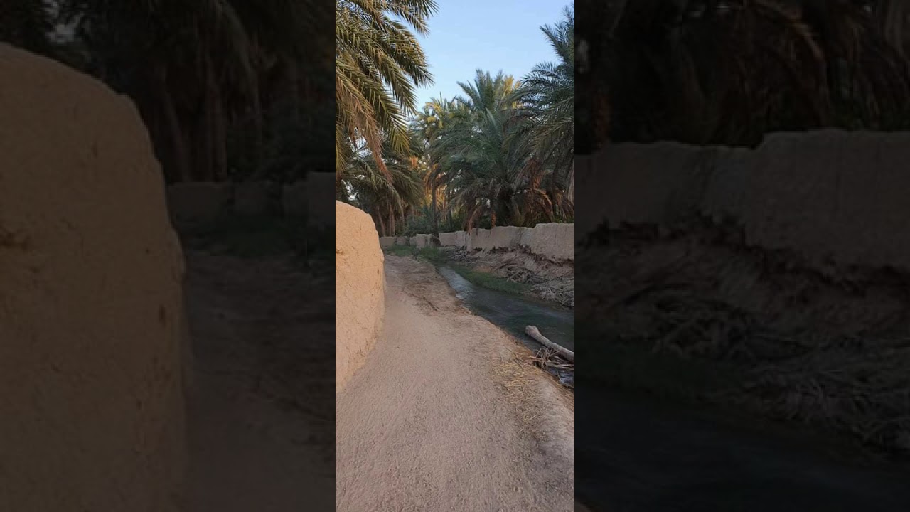 مندلي/سجاد ربي بيك